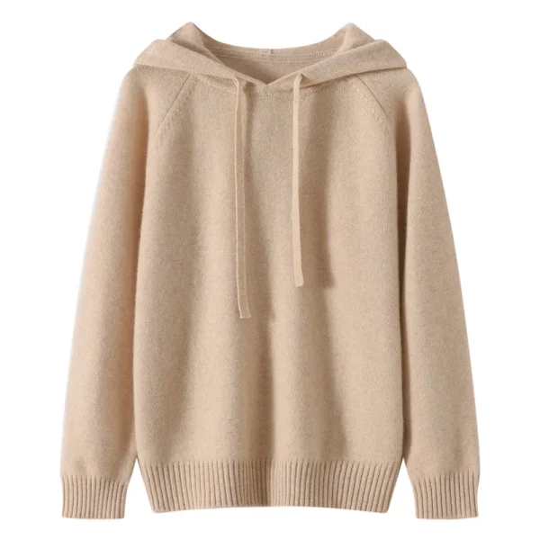 Hooded Drawstring 100 Pure Cashmere Sweater Women Casual Sporty Pullover Sweatshirt B2B